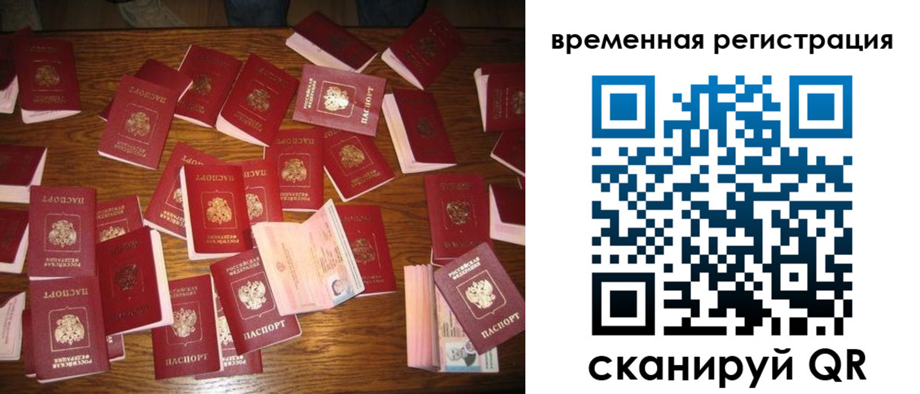 купить прописку в Торопеце